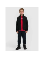 Chlapecký fleece se stojáčkem model 21917517 - 4F