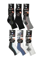 Ponožky  Frotte pánské W AG+ model 5794483 - Wola