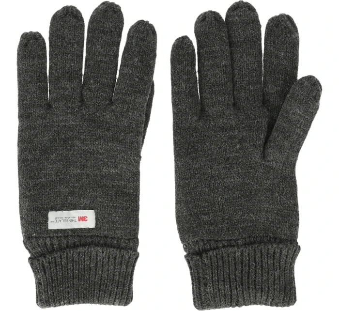 Pánské rukavice model 21488974 - Whistler