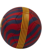 FC Barcelona fotbal 272373 FC Barcelona fotbal 272373