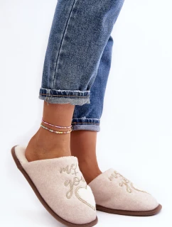 Dámské klasické pantofle s podšívkou v béžové barvě Mabira