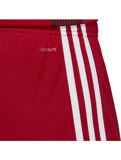 Pánské šortky 19 model 15950598 - ADIDAS Pánské šortky 19 model 15950598 - ADIDAS