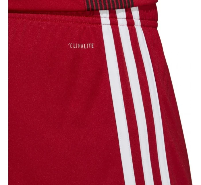 Pánské šortky Tastigo 19 DP3681 - Adidas