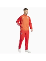 Adidas FC Bayern Pre Jacket M IN6314 pánské
