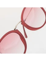 model 21358183 - Iguana