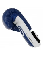 Boxerské rukavice  10 oz model 21785885 - Masters