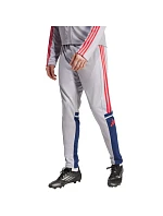 Kalhoty adidas Squadra 25 Training M JP3372