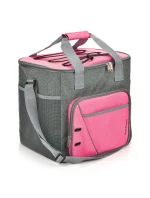 Frosty model 17368429 - Meteor