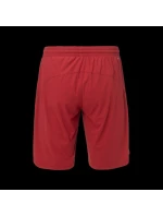 Pánské šortky model 21357277 - IQ