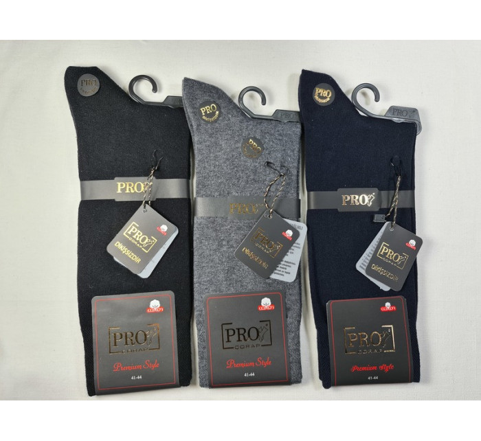 Pánské ponožky PRO 16602