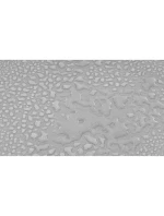 OGRODOWY SZARY model 21831643 OGRODOWY SZARY model 21831643