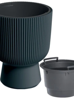 DONICZKA DO  NA  ANTRACYT dětské model 21833641