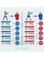 Tréninkové boxerské rukavice Meteor 8 oz, suchý zip, PU Tréninkové boxerské rukavice Meteor 8 oz, suchý zip, PU