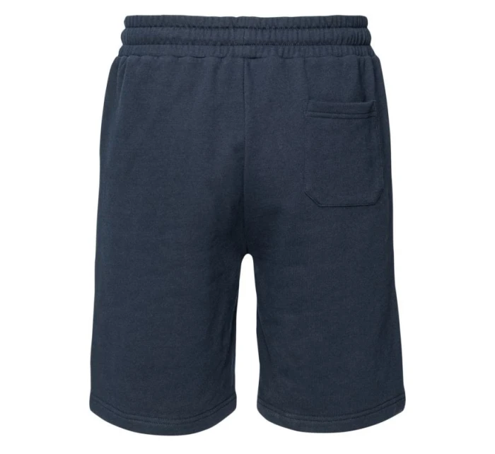 Pánské šortky AZYNI