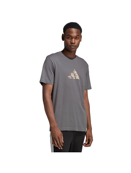 Pánské tričko adidas Camo Expolorer Graphic grey JZ7501 pánské