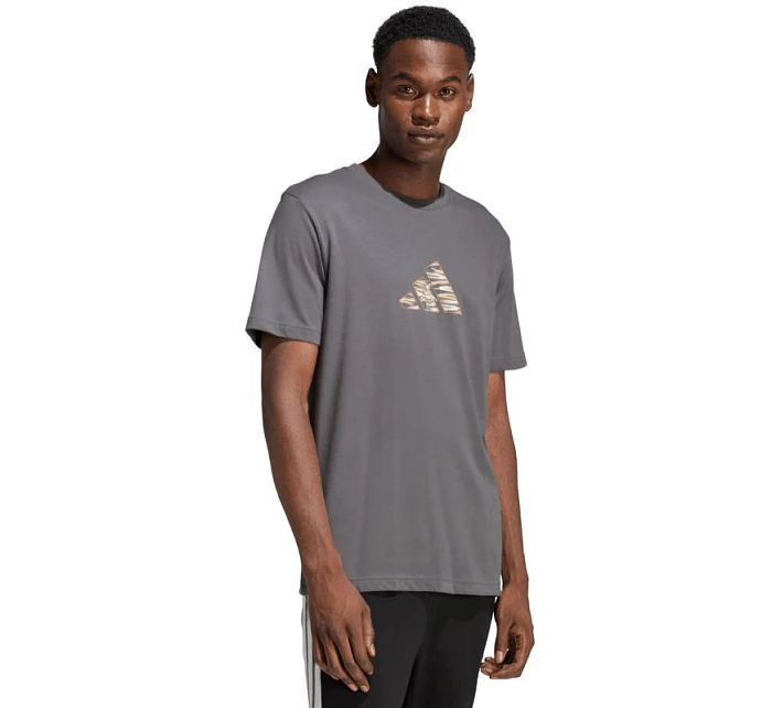 Pánské tričko adidas Camo Expolorer Graphic grey JZ7501 pánské