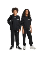 Tepláková souprava adidas Essentials Jr JN2425