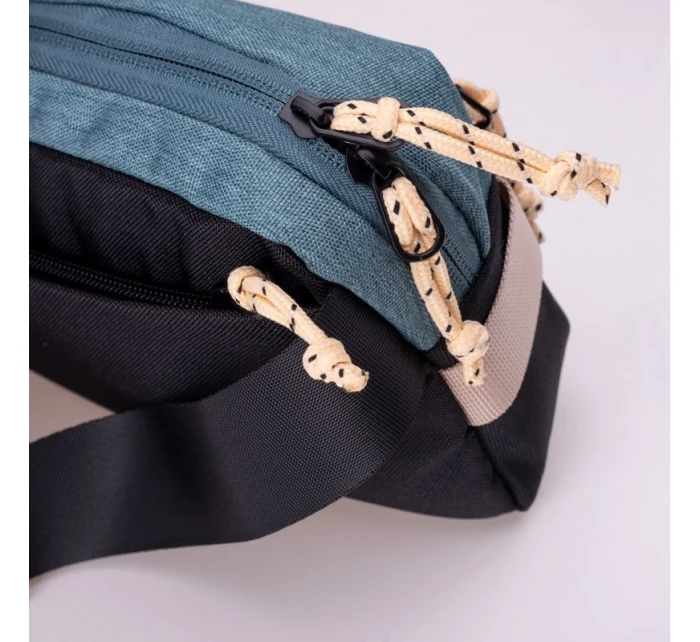 model 21355968 - Iguana