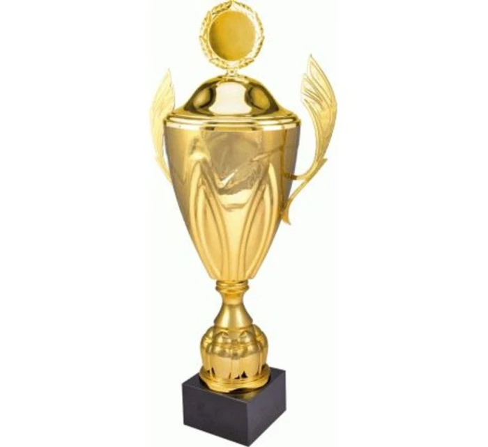 Zlatý kovový hrnek s víčkem 4126/DP