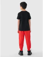 Chlapecké tepláky 4F Chlapecké tepláky 4F