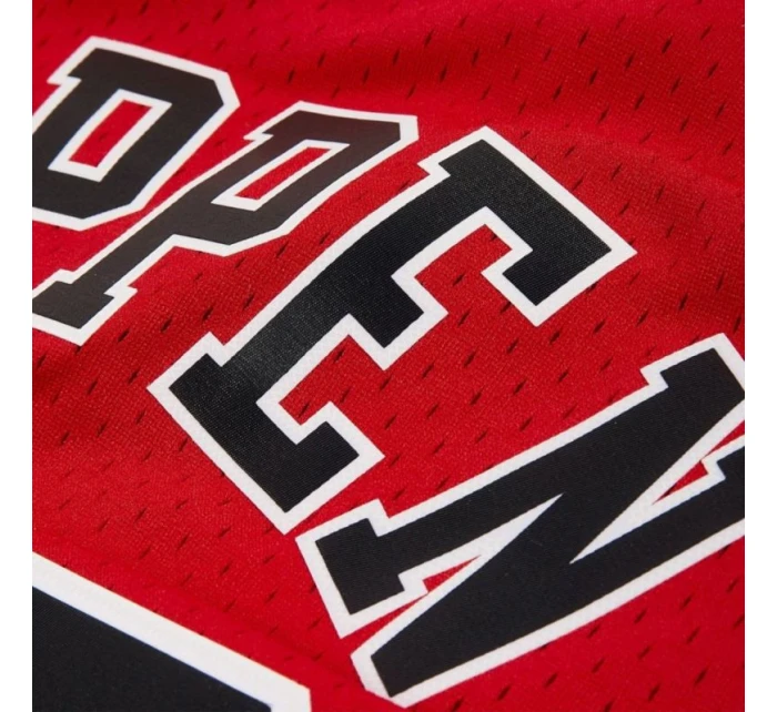 Mitchell & Ness pánské Chicago Bulls NBA Swingman Jersey Scottie Pippen #33 SMJYGS18153-CBUSCAR97SPIN panské