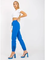 Tepláky RV DR 7943.19 tmavě modrá Tepláky RV DR 7943.19 tmavě modrá