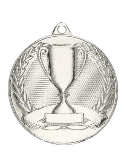 Celková stříbrná medaile s pohárem