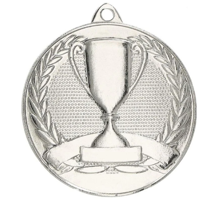 Celková stříbrná medaile s pohárem