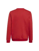 Dětská mikina Entrada 22 Sweat Jr H57473 - Adidas