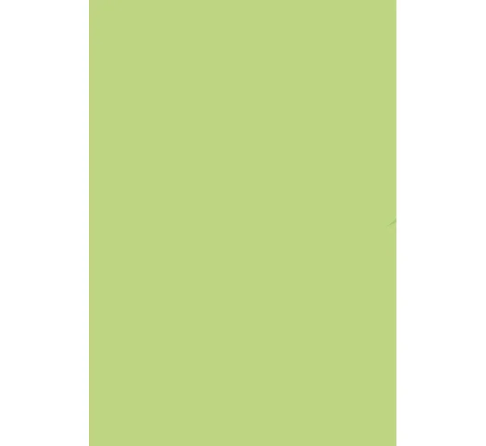 Dámské ponožky 073 - Steven Dámské ponožky 073 - Steven