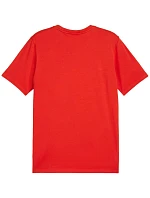 Puma Team Goal Casuals Tee M 658615 01 pánské