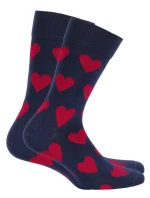 Vzorované pánské ponožky model 7508543 - Wola