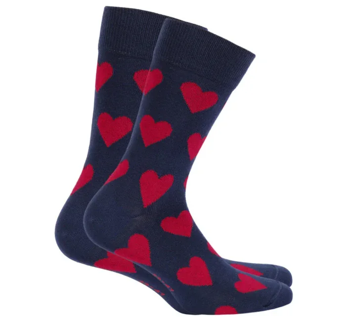 Vzorované pánské ponožky model 7508543 - Wola