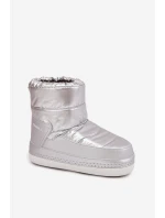 Dámské sněhule O'NEILL LISA CHELSEA WOMEN MID 90253013.01T Stříbrné Dámské sněhule O'NEILL LISA CHELSEA WOMEN MID 90253013.01T Stříbrné