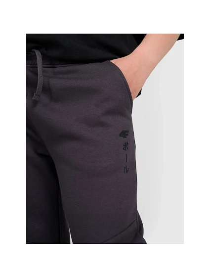 Chlapecké tepláky joggers model 21736557 - 4F