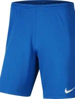 Pánská obuv Dry Park III NB M BV6855 463 - Nike