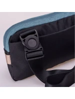 model 21355968 - Iguana