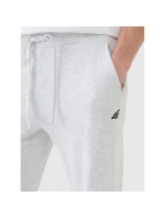 Pánské tepláky typu jogger model 21433032 - 4F Pánské tepláky typu jogger model 21433032 - 4F