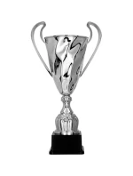 Stříbrný kovový pohár