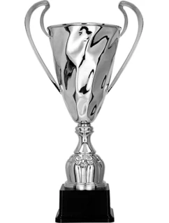 Stříbrný kovový pohár