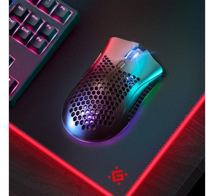 RF RGB  5 model 21326020 - DEFENDER