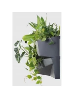 ANTRACYT dětské model 21831649 ANTRACYT dětské model 21831649