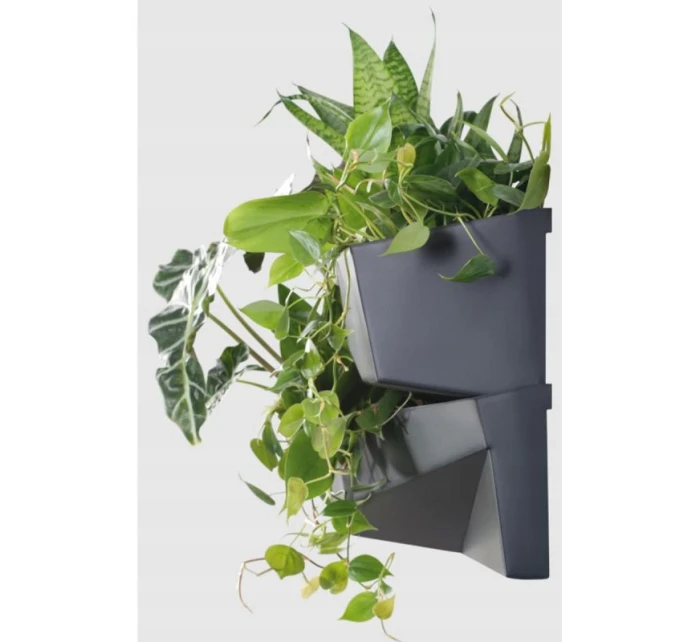 ANTRACYT dětské model 21831649 ANTRACYT dětské model 21831649