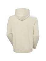 Helly Hansen Core Graphic Sweat Hoodie M 53924 034