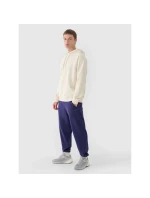Pánské tepláky typu jogger 4F 4FWMM00TTROM1139-31S