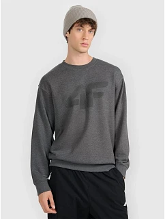 Pánská mikina bez kapuce model 22117436 - 4F