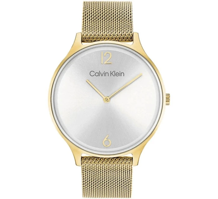 Dámské hodinky Timeless Mesh model 21806519 + BOX dámské - Calvin Klein Dámské hodinky Timeless Mesh model 21806519 + BOX dámské - Calvin Klein