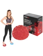 FIT model 21824945 - Enero