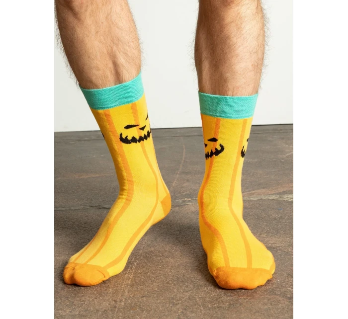 Ponožky WS SR 5604 vícebarevné Ponožky WS SR 5604 vícebarevné