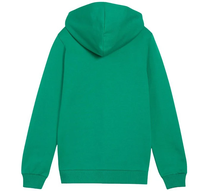 Dětská mikina teamGoal Casuals s kapucí zelená model 21720690 05 - Puma
